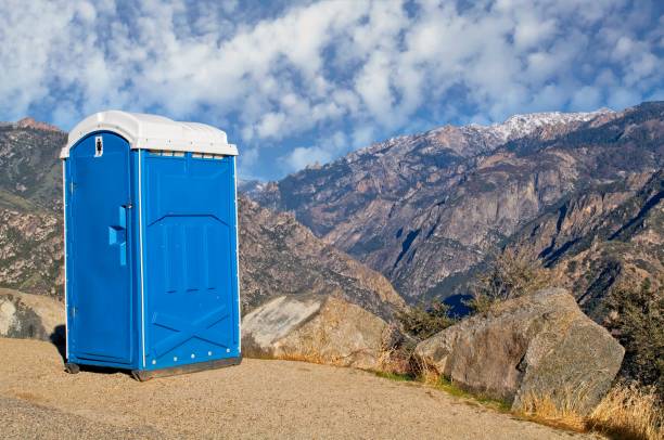 Best Portable restroom solutions  in Birch Run, MI